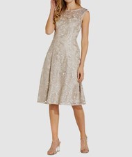 Adrianna Papell Women's Beige Embroidered Lace Illusion Boatneck Dress Size 2