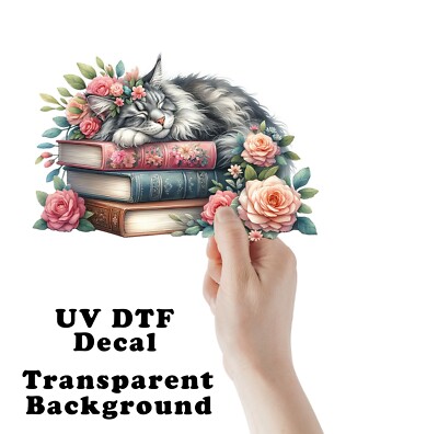Sleeping Cat and Books UV DTF Transparent Sticker / Decal