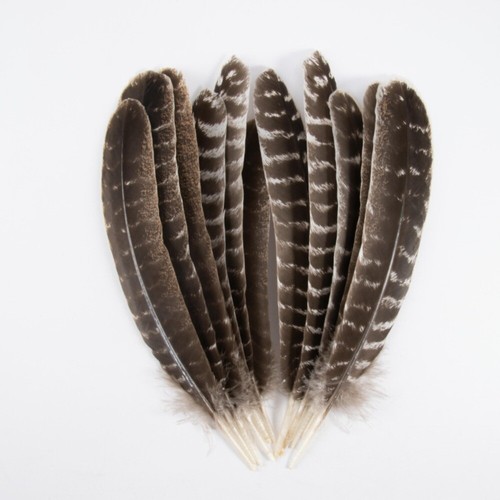 10-12 pouces Plumes de dindon sauvage Décoration Plume Artisanat de bricolage - Foto 10 di 11