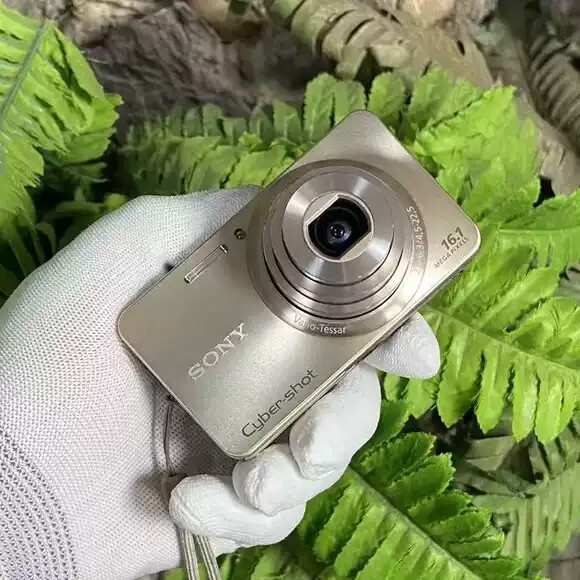 Sony Cyber-Shot DSC-W570 Digital Camera 5x Wide-Angle