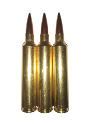 28 Nosler Snap Caps Training Aids + Rattling & Black Options too! .28