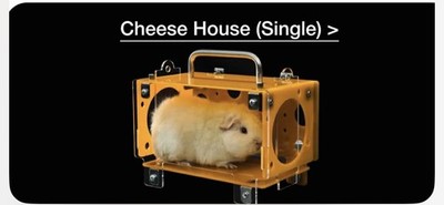 Meerschweinchen Käsehaus, Haus für Meerschweinchen, ultimatives Versteck klein p[ets