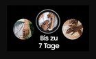 Bild 5 von 6