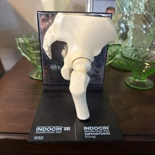 Vintage 1980’s Merck Indocin Human Hip Anatomically Correct  Excellent Look