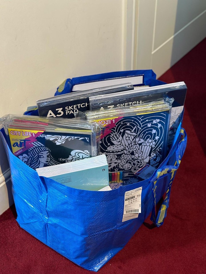 NEW 10X IKEA Frakta Blue Large Storage Laundry Bags 71L set of 10