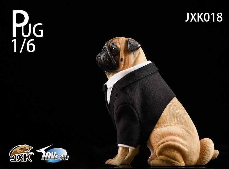 JXK studio 1/6 Pug Black FRANK Animal Figure Resin Model w