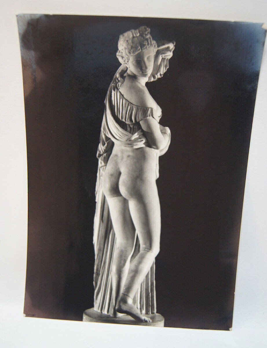 The Venus Callipigia (marble)