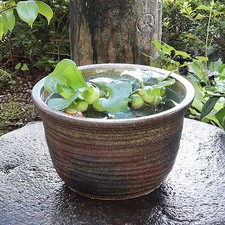Size 11 Kiln-Finished Water Bowl, Shigaraki Ware (Goldfish/Medaka)
