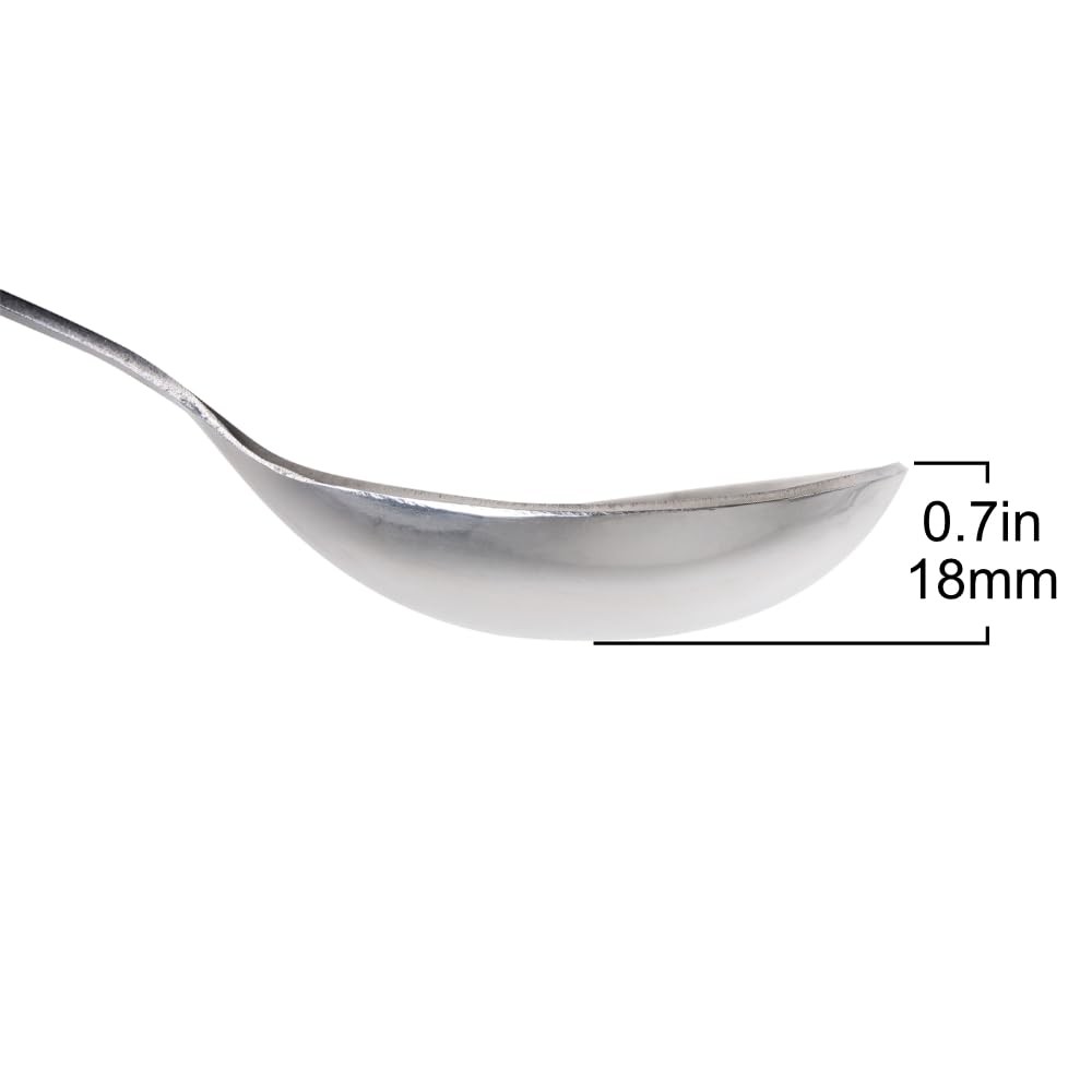 Silver Stainless Steel Jar, Serving Spoon, Kitchen Utensil, Long Handle, SC30