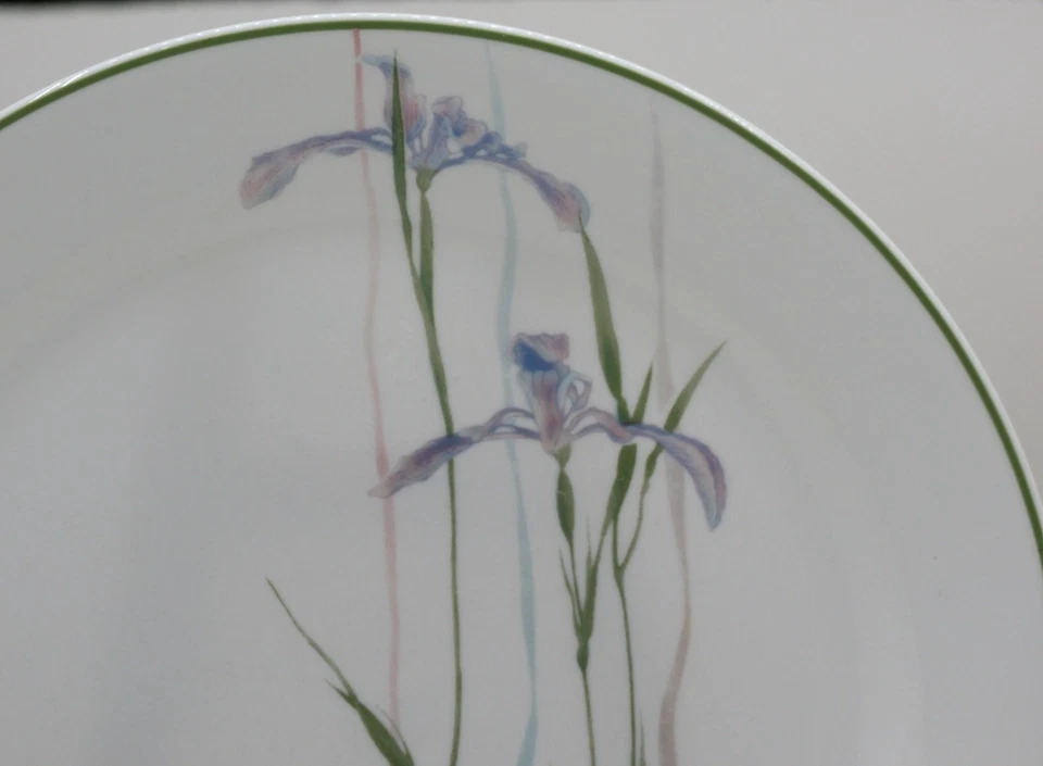 De colección. Juego de platos de cena Corelle Corning SHADOW IRIS 10 pulgadas/6 púrpura y verde BONITO Foto 3 de 4