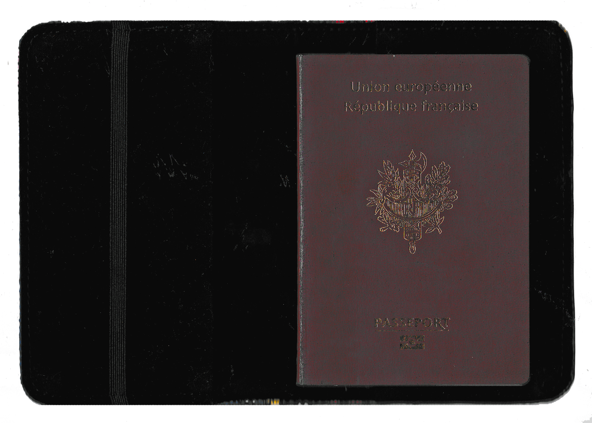 Pochette passeport de haute qualité en cuir PU RFID bloquant les porte-cartes pa