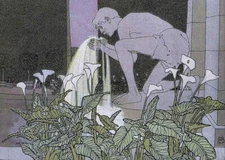 Fountain – Mila von Luttich 1913 Art Nouveau Illustration Art Print Calla Lilies