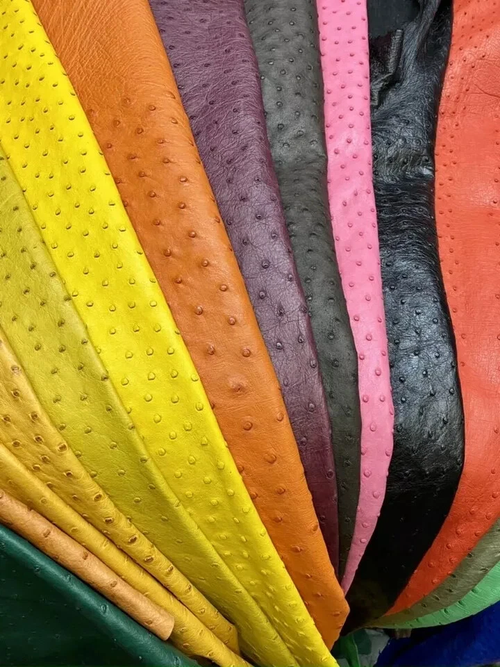 OSTRICH Leather SKIN Credit Card Holder DOUBLE SIDE Genuine OSTRICH Brown - Image 2 of 4