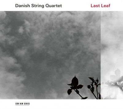 Danish String Quartet Last Leaf (Vinyl) 12'' Album