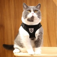 Premium Adjustable Cat Harness Leash Set