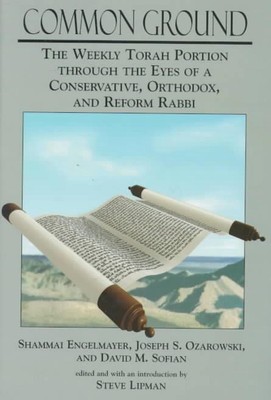 Common Ground: The Weekly Torah Portion Through the Eyes of a Conservative, Orth