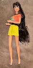 Glitter Hair Barbie Brunette Teresa Long Hair Vintage Doll