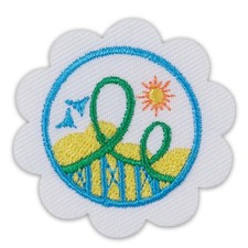 Girl Scouts Daisy ROLLER COASTER DESIGN #61110 Badge Patch Iron On Flower NEW