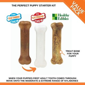 puppy starter kit nylabone