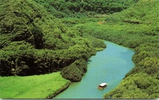 Hawaii Wailua River Scenic View Vintage Standard Postcard Unposted