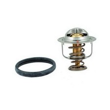 Thermostat Nissan TERRANO