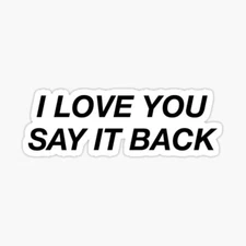 I Love You Say it Back Funny Quote Vinyl Decal Sticker for Laptop Phone Bumper
