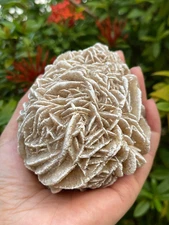 Extra Large Desert Rose Selenite, 1.5-4 Inches Desert Gypsum Rose, Pick a Size
