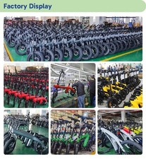Adult Mini Folding E-Bike 250W 36v Electronic Motor Aluminum Alloy Frame …