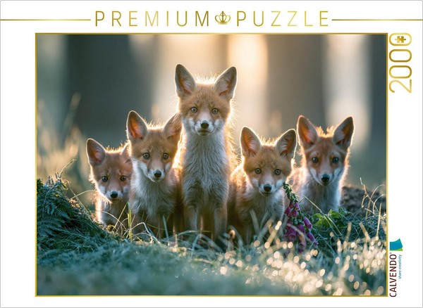 Calvendo Puzzle Approaching Life With Curiosity | 2000 Pieces, Finished Size 35.-image