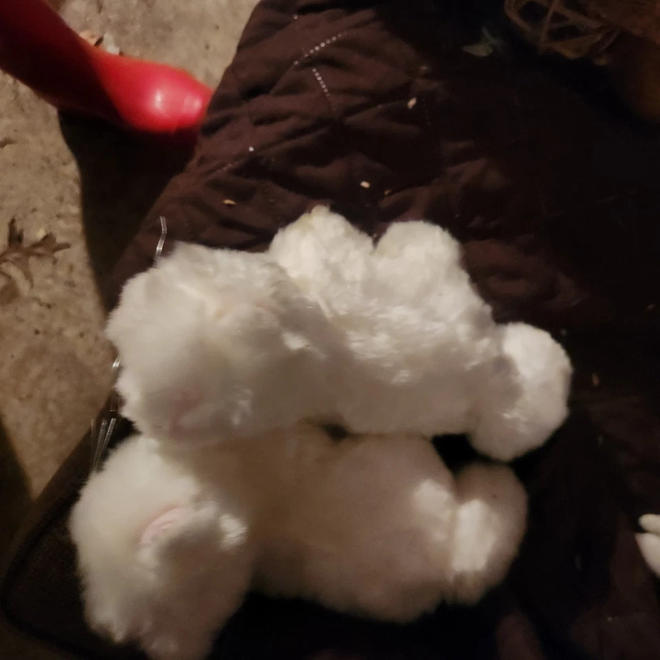 2 GANZ Lil Kinz Stuffed Persian Cat Plush Animal White NO CODE Kitty Cuddly Toy  - Image 3 of 4