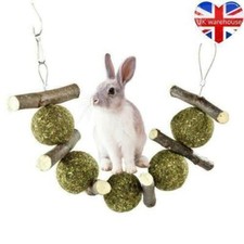 Rabbit Hamster Chew Grass Ball Branch Molar Guinea Pig Pet Grinding Nibble Toy