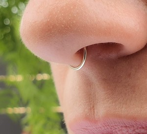 ebay septum ring