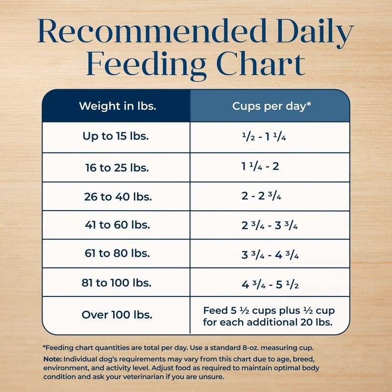 Grain-Free Salmon Potato Recipe Adult Dry Dog Food Skin Digestive Health New