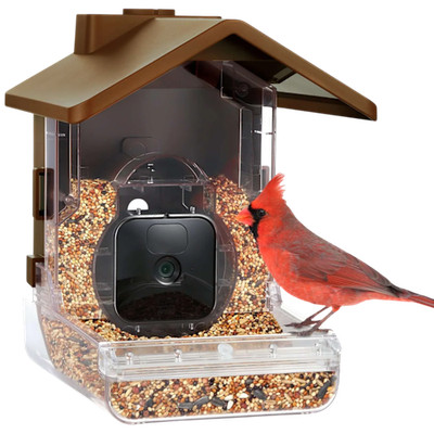 Wasserstein Bird Feeder Smart Camera Case Compatible with Ring, Blink & Wyze ...