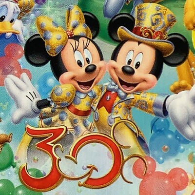 Tokyo Disney Resort Collection Cards 30th The Happiness Year TCG