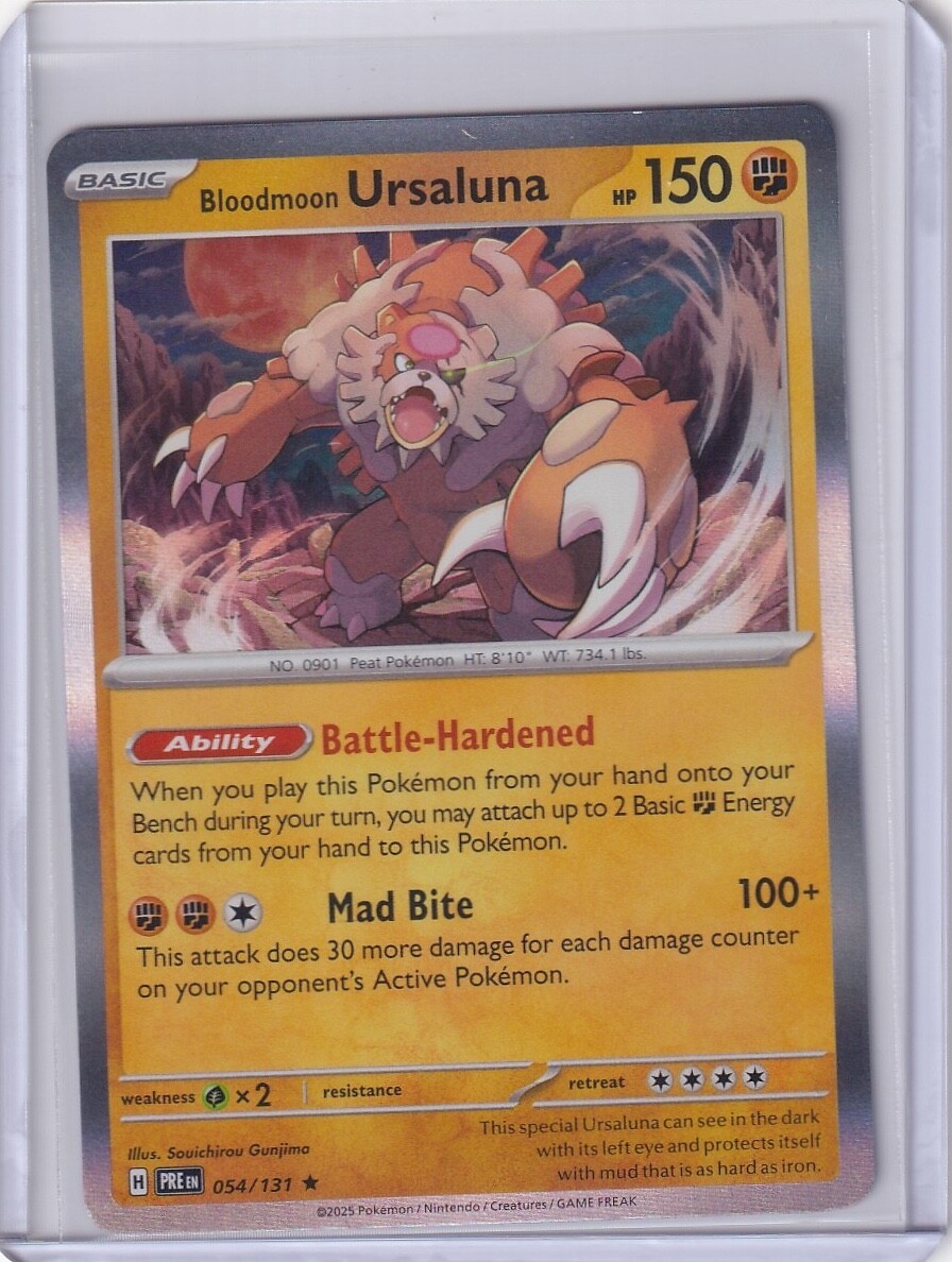 Bloodmoon Ursaluna Holo Rare #54 Pokemon Shrouded Fable 2025 TCG