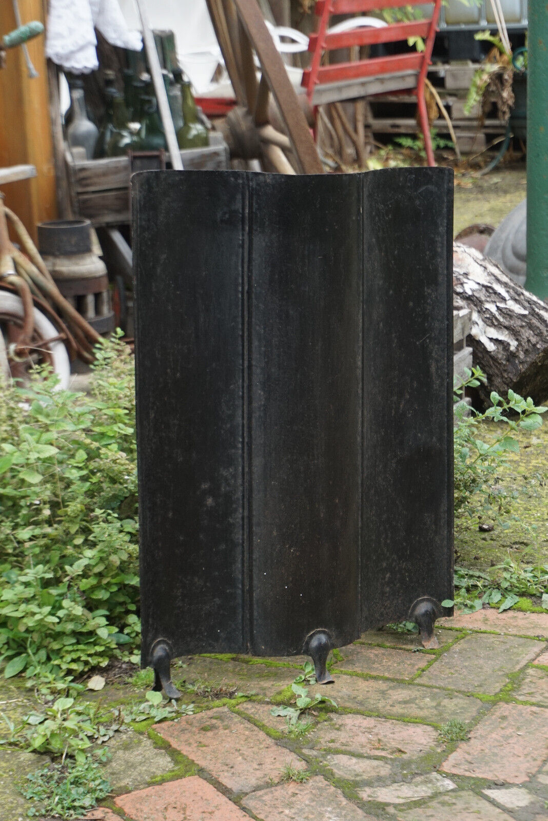 Bild 1 von 12