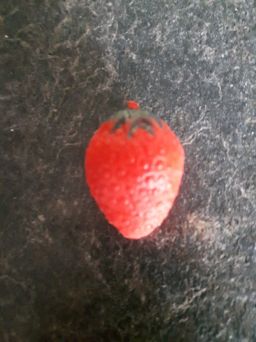 VTG Strawberry Collectible Eraser FREE COMBINED SHIPPING | eBay