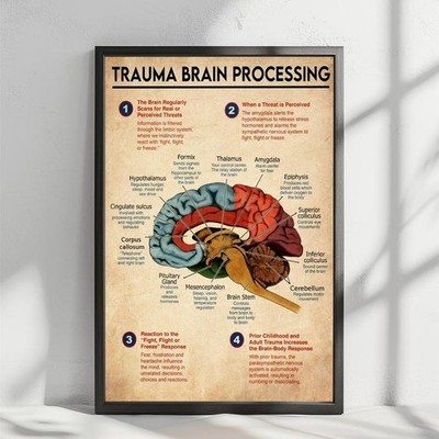 Trauma Brain Processing Poster, Brain Anatomy Poster Brain Zones Mental Health 