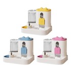 Automatic Pet Feeder and Waterer, Food and Water Dispenser, 2 in 1, Anti Slip