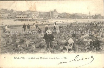 Le Havre Boulevard Maritime a maree basse