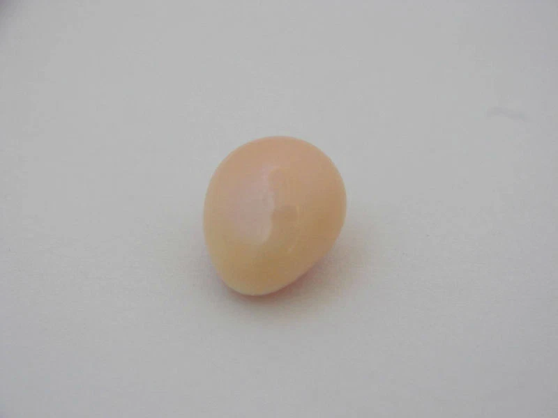 CONCH PEARL NATURAL PINK ORANGE CONCH PEARL CERTIFIED - Image 2 of 4
