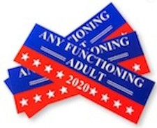 2020 Any Functioning Adult Funny Novelty Bumper Sticker 9 X 3 St 8005 Car 2020 Any Functioning Adult Funny Novelty Bumper Sticker 9 X 3 St 8005 Car