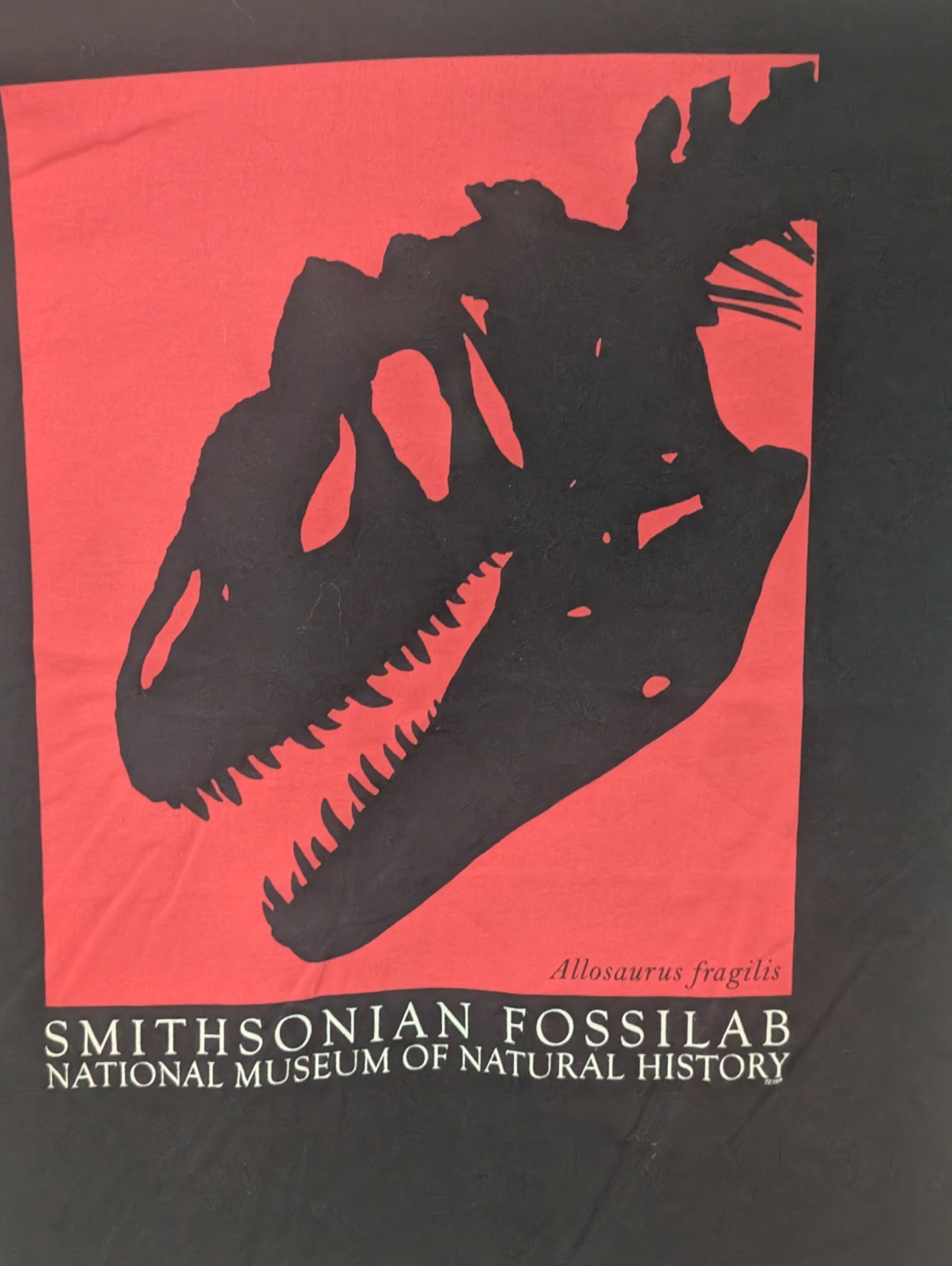 Smithsonian Museum Men's T-shirt Black Allosaurus Fragilis Fossil Skull 2XL 6277
