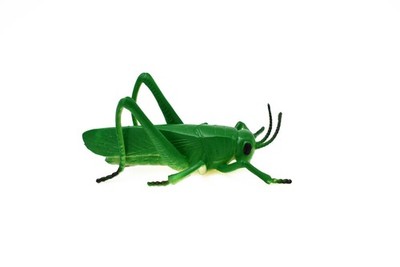 Green Grasshopper Toy, Rubber Animal, Realistic Figure, Model, 4'' CWG49 B155