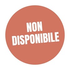 Luminaria Salentina Pesciolino colorato Salento Pesce Rosone 25 cm x 17 cm