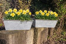 Set Of 2 Bee Zinc Rectangular Garden Planters Plant Herb Pot Embossed