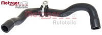 Metzger 2420053 KüHlerschlauch Schlauch KüHlwasser FüR Ford