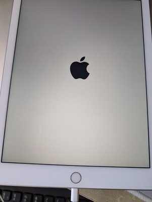 Apple IPad Air 2 64GB