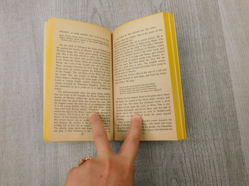 LIN CARTER Tolkien : A Look Behind the Lord of the Rings Paperback Vintage Book - Zdjęcie 9 z 11
